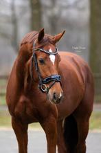 Lieve, goed bewegende merrie!, Dieren en Toebehoren, Paarden, Merrie, Dressuurpaard