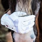Ruiterhandschoen HKM dames wit OPRUIMING  XL, Dieren en Toebehoren, Paardrijkleding, Dressuur, Nieuw, Ophalen of Verzenden, Dames