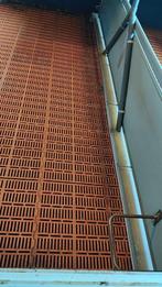 Biggen hokken brijvoer [479], Boekhorst Trading, Info@boekhorsttrading.com, Singel 16, Horssen
