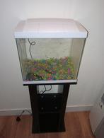Aquarium met standaard 30 liter, Ophalen of Verzenden, Zo goed als nieuw, Leeg aquarium