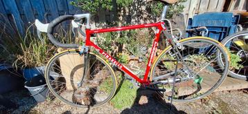 Pinarello Klassieker en Hybride Klassieker race  beschikbaar voor biedingen