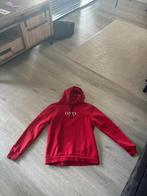Hoodie van daily aesthetikz maat M, Maat 48/50 (M), Ophalen of Verzenden, Zo goed als nieuw, Daily aesthetikz