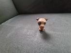 Hond hondje Barbie barbie, Ophalen of Verzenden, Gebruikt, Barbie