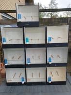 10 tt kooitjes, Dieren en Toebehoren, Ophalen of Verzenden, Zo goed als nieuw, Hout