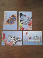 Postset vlinders St. Eustatius, Ophalen of Verzenden, Na 1940, Postfris