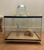 Hamsterkooi | Platform with wheels for easy moving, Kooi, Gebruikt, Minder dan 75 cm, Hamster