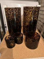 Cheetah set, Ophalen, Zo goed als nieuw, Glas, 50 tot 75 cm