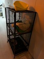 Ratten kooi, Ophalen, Kooi, Hamster, 90 cm of meer