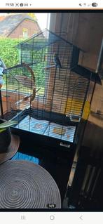 Vogelkooi te koop, Dieren en Toebehoren, Ophalen, Gebruikt, Metaal, Vogelkooi