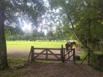 Weiland met stal te huur, Dieren en Toebehoren, Stalling en Weidegang