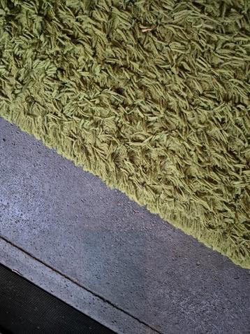 Groen Vloerkleed 260x150cm beschikbaar voor biedingen