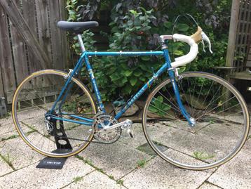 Gazelle Champignon Mondial maat 54 cm beschikbaar voor biedingen
