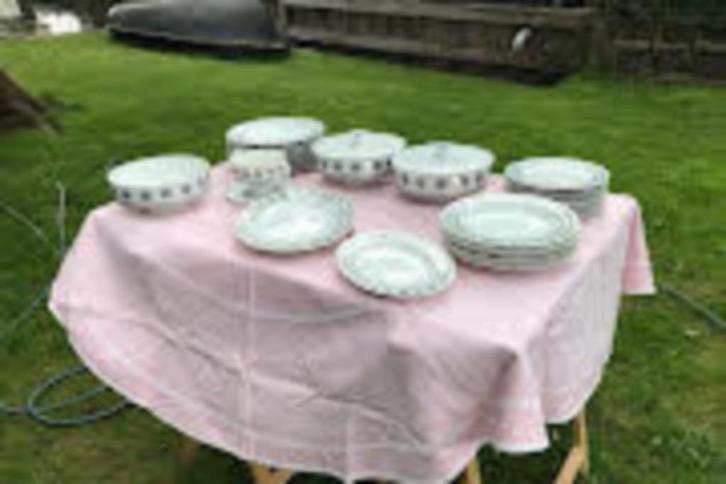 Rosenthal servies eisblum motiv, Huis en Inrichting, Overige Huis en Inrichting, Zo goed als nieuw, Ophalen