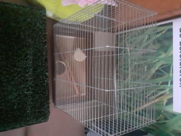 Kleine vogelkooi beschikbaar voor biedingen