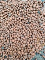 Hydro korrels zak 40 liter, Ophalen