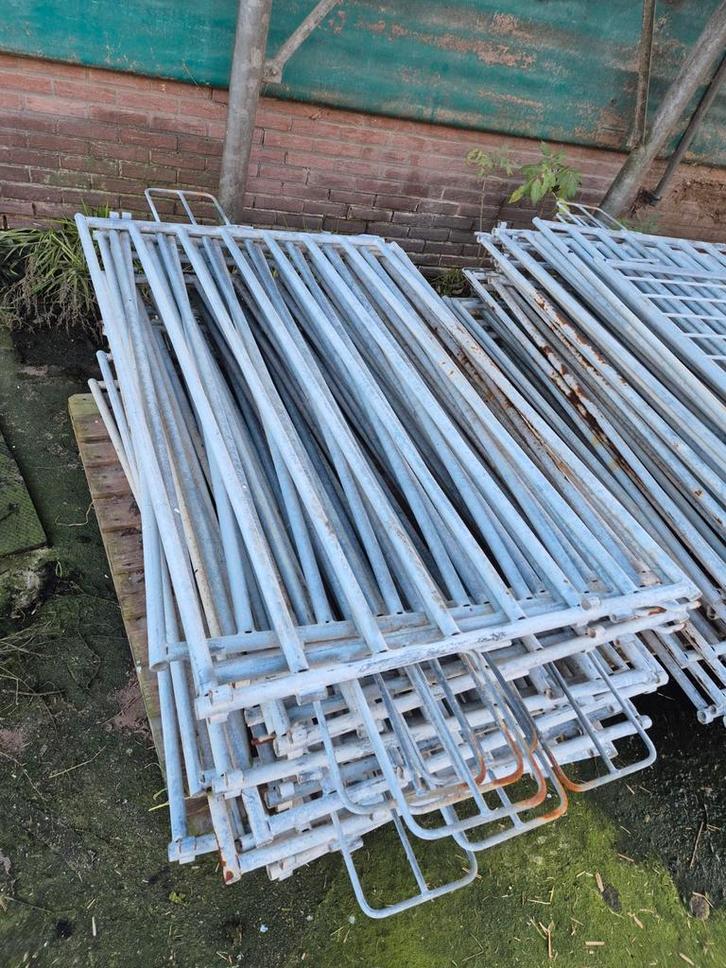 Mooi hekwerk, Dieren en Toebehoren, Schapen, Geiten en Varkens, Schaap, Meerdere dieren