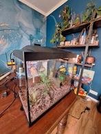 SuperFish Start 30 Compleet, Dieren en Toebehoren, Vissen | Aquaria en Toebehoren, Ophalen, Zo goed als nieuw, Leeg aquarium