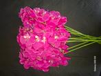 10 stuks orchideeën takken, Ophalen of Verzenden