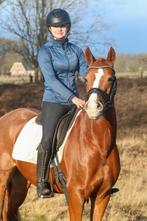 Schitterende allround duitse rijpony, Dieren en Toebehoren, Pony's, Merrie, 3 tot 6 jaar, D pony (1.37m tot 1.48m), Met stamboom
