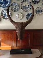 Stierenkop, skull, abstract. Kunst/decoratiestuk. Houtlook., Antiek en Kunst, Ophalen