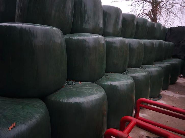 Maisbalen te koop, Zakelijke goederen, Agrarisch | Veevoer, Ophalen of Verzenden