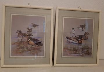 Schilderij Watervogels prenten beschikbaar voor biedingen