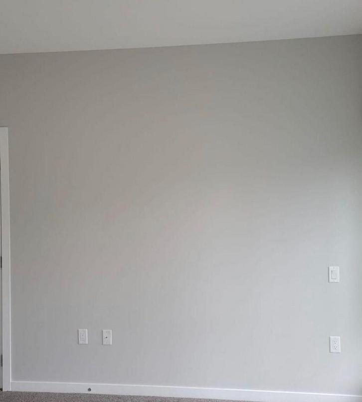 Professionele schilder beschikbaar voor klusjes, Diensten en Vakmensen, Schilders en Behangers, Binnenschilderwerk, Buitenschilderwerk