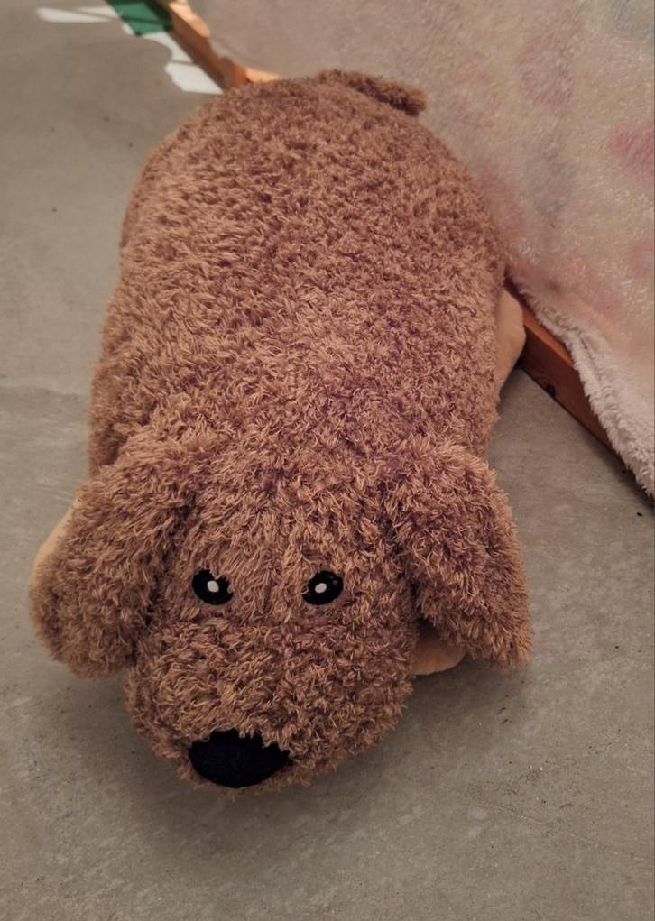 Hond knuffel/kussen - groot, Kinderen en Baby's, Speelgoed | Knuffels en Pluche, Zo goed als nieuw, Hond, Ophalen of Verzenden