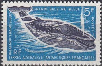 Frans Antarctica- 1966 - Fauna - Walvis - Blauwe Vinvis beschikbaar voor biedingen