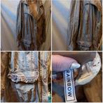 Leuke jas, Kleding | Dames, Ophalen of Verzenden, Zo goed als nieuw, Maat 46/48 (XL) of groter, Bruin