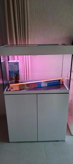 Oase styleline 175, Ophalen, Zo goed als nieuw, Leeg aquarium