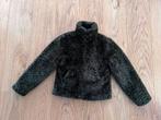 Groen jasje met panterprintje maat 134/140 CoolCat, Ophalen of Verzenden, Meisje, Jas
