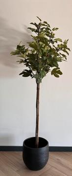 Vijgenboom kunst, Huis en Inrichting, Woonaccessoires | Kunstplanten en Kunstbloemen, Ophalen, Zo goed als nieuw