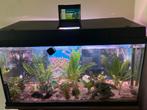 120 liter aquarium met vissen en toebehoren, Ophalen of Verzenden, Gevuld zoetwateraquarium