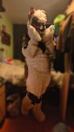 Lq Fursuit "Spikey", Verzenden, Gebruikt, Overige typen