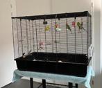 Zeer nette vogelkooi, Dieren en Toebehoren, Vogels | Hokken en Kooien, Ophalen of Verzenden, Zo goed als nieuw, Metaal, Vogelkooi