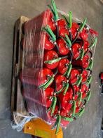 LEGE schuimblussers 6 liter formaat, Huis en Inrichting, Brandblussers en Brandkasten, Ophalen