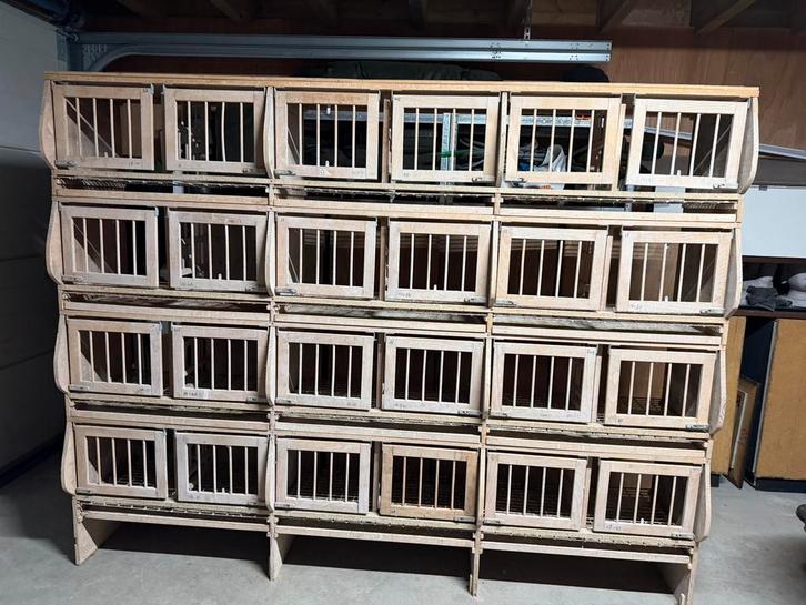 Broedbakken | Duivenbakken | Postduiven | Duivenhok, Dieren en Toebehoren, Vogels | Duiven, Postduif, Meerdere dieren