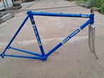 Gios Torino Super Record, 1979, maat 50., Fietsen en Brommers, 49 tot 53 cm, Ophalen, Zo goed als nieuw, Overige merken