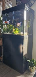 Aquatlantis aquarium 210 liter, Dieren en Toebehoren, Ophalen, Gebruikt, Leeg aquarium