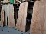 Boomstam blad beuken!, Doe-het-zelf en Verbouw, Hout en Planken, Ophalen, Nieuw, Beuken, Minder dan 200 cm