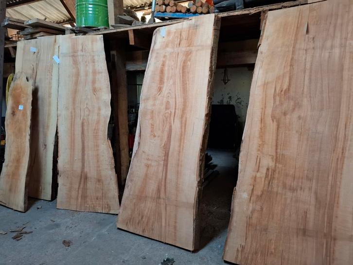 Boomstam blad beuken!, Doe-het-zelf en Verbouw, Hout en Planken, Nieuw, Beuken, Minder dan 200 cm, Ophalen