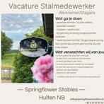 stalmedewerk(st)er gezocht