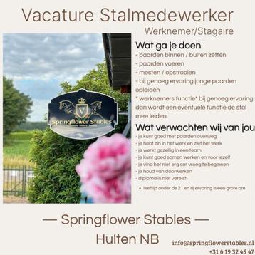 stalmedewerk(st)er gezocht beschikbaar voor biedingen
