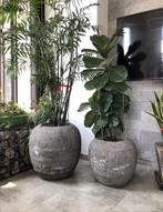 Cast Stone Pot – Plantenbak – Bloempot – Bloembak, Tuin en Terras, Bloempotten, Nieuw, Binnen, Kunststof, Rond