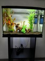 Aquarium 60 liter en standaard, Dieren en Toebehoren, Vissen | Aquaria en Toebehoren, Ophalen, Zo goed als nieuw, Leeg aquarium