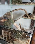 Gerbil/degoes terrarium, Dieren en Toebehoren, Knaagdieren en Konijnen | Hokken en Kooien, Ophalen, Zo goed als nieuw, 90 cm of meer