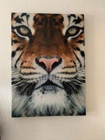 Mooie canvas schilderij leuk bv voor de kinder kamer beschikbaar voor biedingen