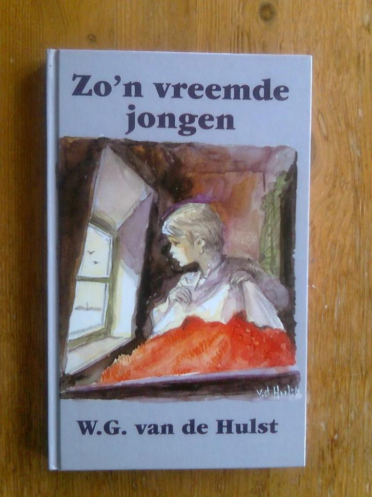 Zo'n vreemde jongen, en andere van W.G. van de Hulst, Boeken, Kinderboeken | Jeugd | 10 tot 12 jaar, Gelezen, Ophalen of Verzenden