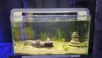 Super fish home 25, Dieren en Toebehoren, Vissen | Aquaria en Toebehoren, Ophalen, Zo goed als nieuw, Leeg aquarium